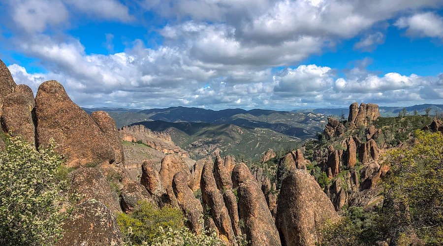 Wisata Alam Pinnacles National Park: Goa, Jalur Hiking, dan Satwa Endemik